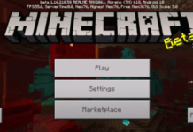 Minecraft Latest Version Openworld