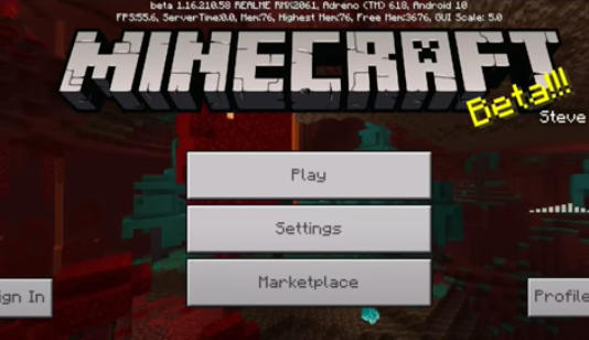 Minecraft Latest Version Openworld